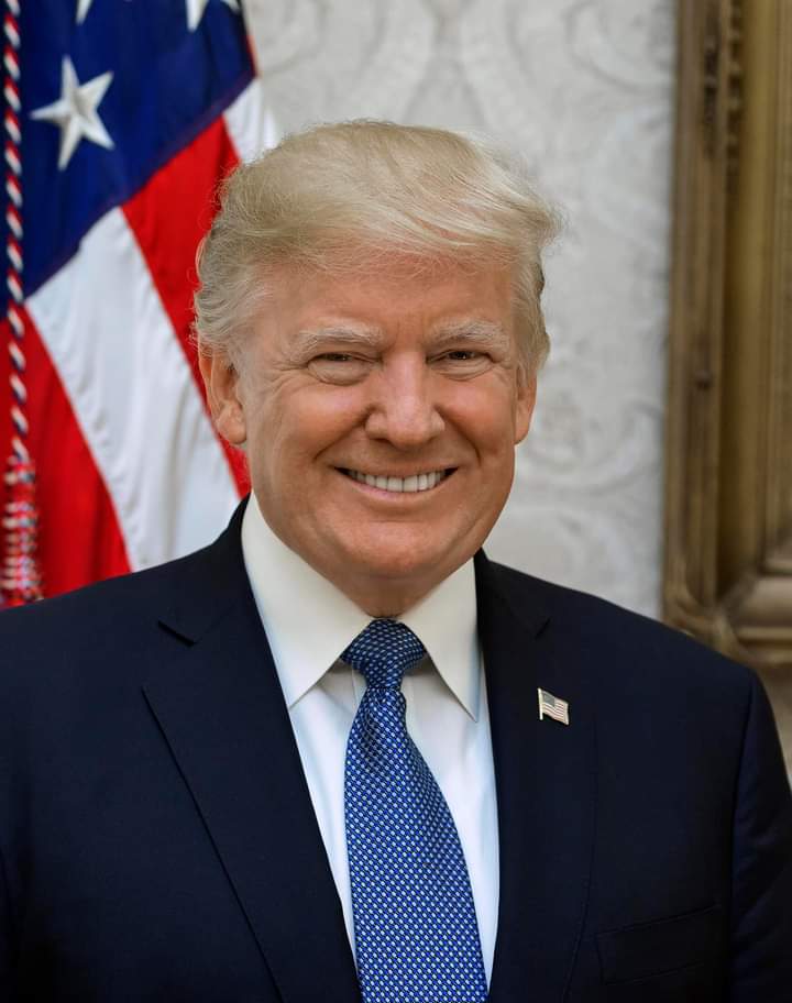 Read more about the article Donald Trump Wins 2024 US Presidential Election