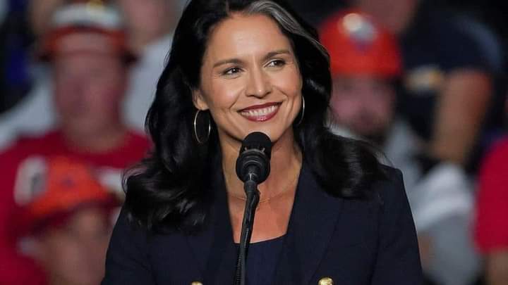 You are currently viewing I like Tulsi Gabbard