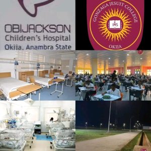 Read more about the article Osita Chidoka mourns with ObiJackson Foundation over stamped incident