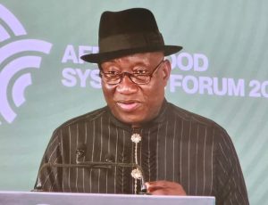 Read more about the article My dream to make Nigeria the richest/ biggest economy from Africa was thwarted in just one night for a module of Rice – Goodluck Jonathan