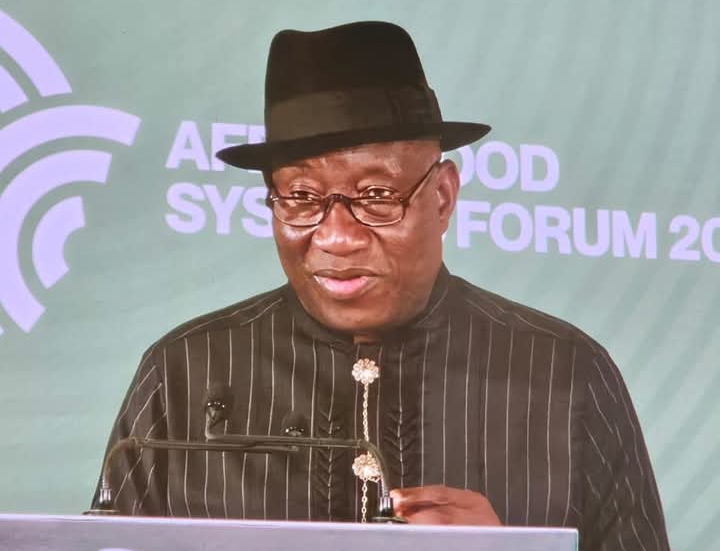 Read more about the article My dream to make Nigeria the richest/ biggest economy from Africa was thwarted in just one night for a module of Rice – Goodluck Jonathan