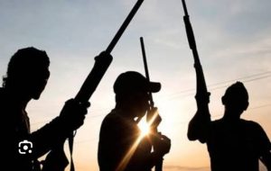 Read more about the article Kidnapping on the Rise: Two Young Architects Abducted in Nteje