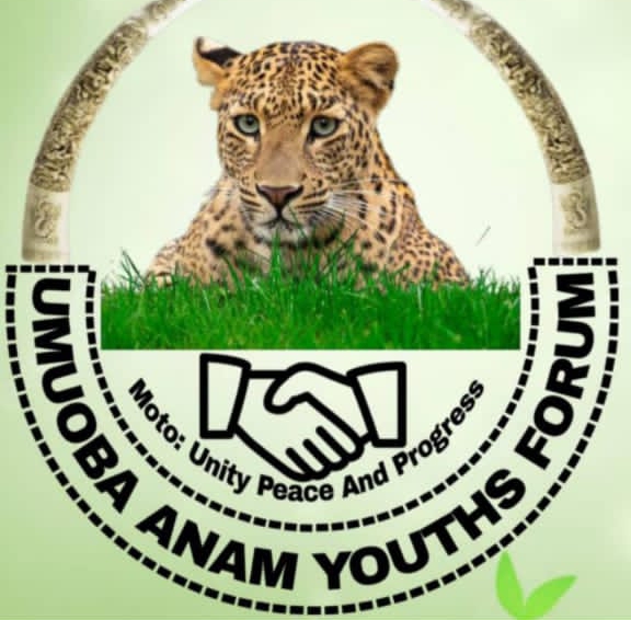 You are currently viewing Umuoba Anam Community Cries Out Against Egbeagu Eziagulu-Otu’s Reign of Terror