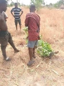 Read more about the article Deadly Silence in Ukum: Villagers Allege Security Agencies Ignored Warnings Ahead of Massacre