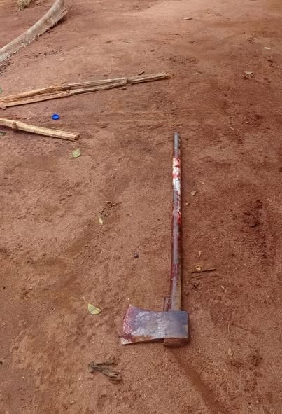 Read more about the article Man hacks his 68-year-old mother to d3ath with axe, attempts suicide in Anambra