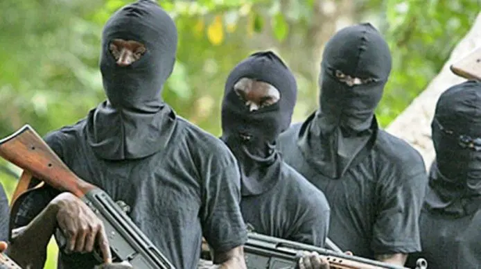 Read more about the article Fifteen Kidnapped Victims Regain Freedom After Five Days in Captivity in Enugu