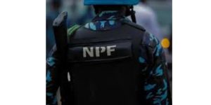 Read more about the article Police Bust Criminal Camp In Anambra, Arrest Suspect Linked To Murder Of Policewoman