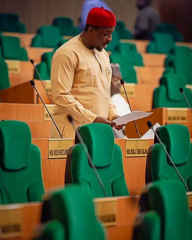 Read more about the article Hon. Uchenna Harris Okonkwo Sponsors Six New Bills in the House of Representatives