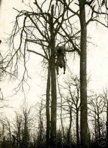 Read more about the article Dead Body Found Hanging on a Tree in Amichi — CP Orutugu Orders Intensive Surveillance to Uncover Circumstances