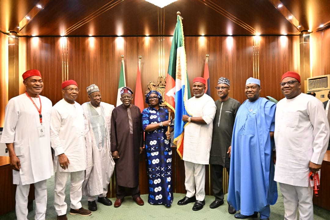 You are currently viewing Beyond the Flag: Why Tinubu’s Endorsement of Prince Ukachukwu Signals a New Dawn for Anambra