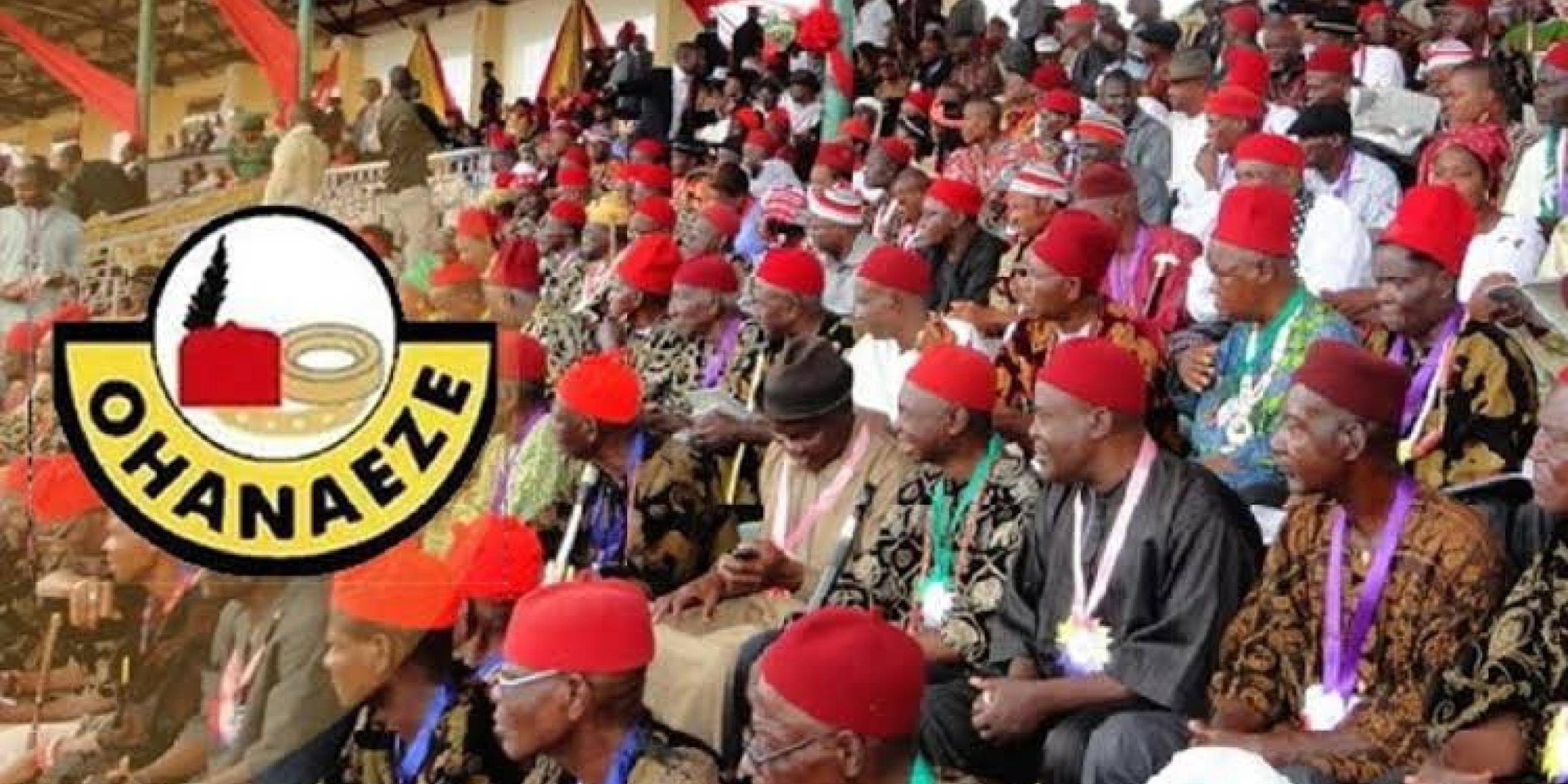 Read more about the article Ohanaeze Ndigbo Renames May 30 ‘Igbo Heroes Day’, Calls For Peaceful Observance