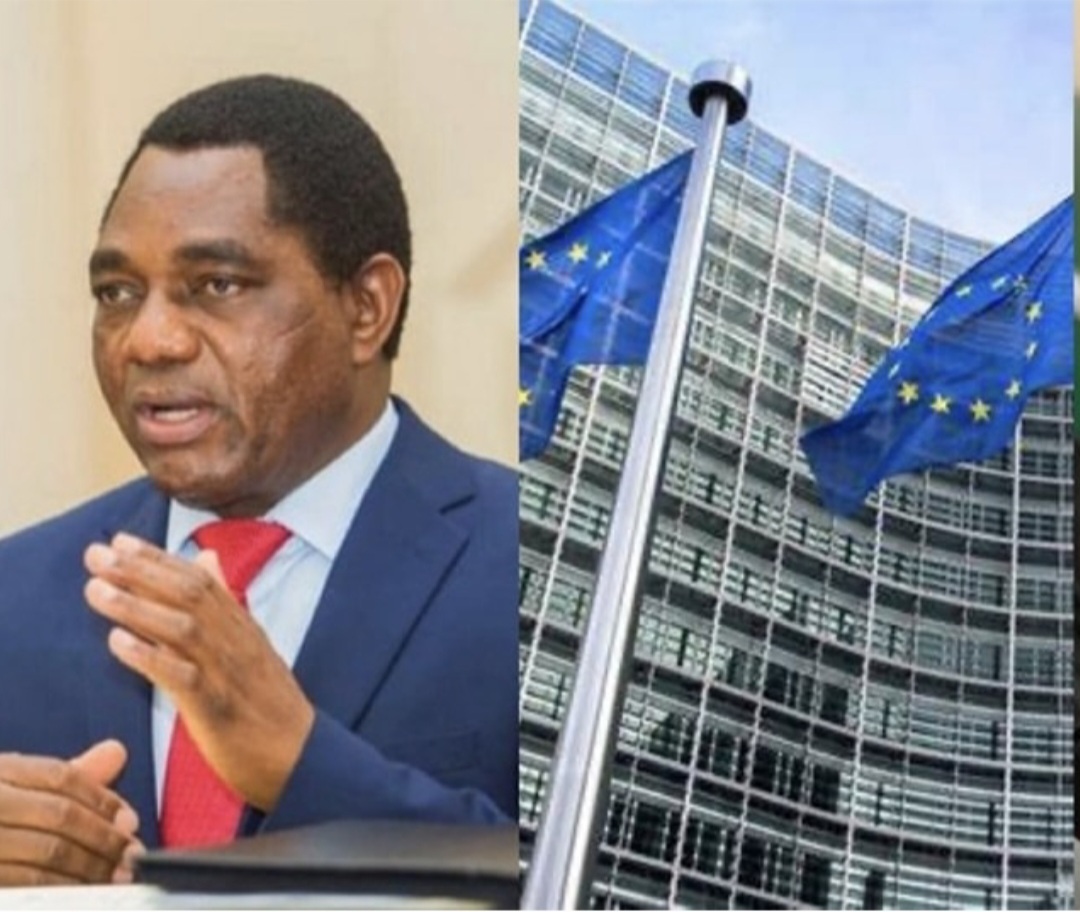 You are currently viewing Zambian President Hakainde Hichilema Demands Refunds for Rejected Visa Fees from EU and UK