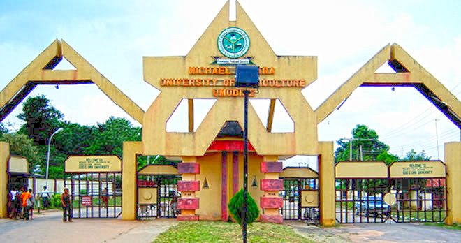 Read more about the article Grief at Umudike: Final Year Engineering Student Slumps and Dies on Football Field