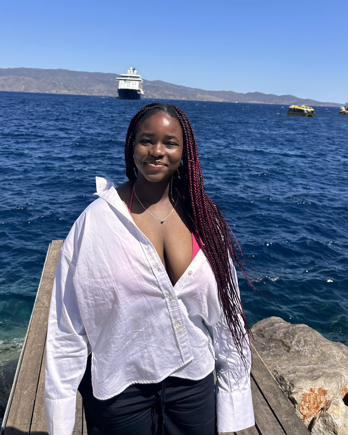 You are currently viewing FBI Arrests Nigerian ‘Tech Queen’ Sapphire Egemasi Over Alleged Fraud in the U.S.