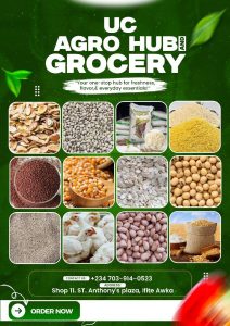 Read more about the article UC Agro Hub & Grocery in Ifite-Awka: Your Trusted One-Stop Shop for Fresh Farm Produce and Affordable Groceries