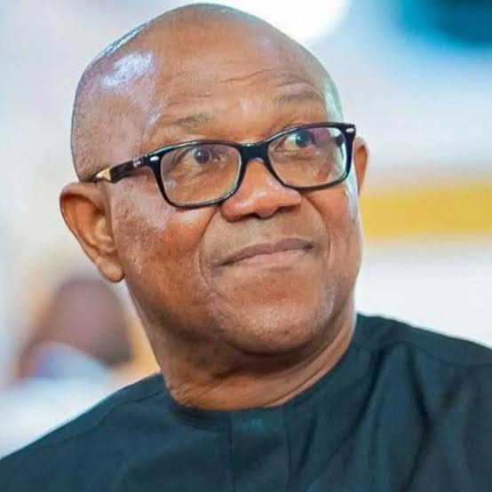 You are currently viewing PDP’s Olive Branch to Peter Obi: A Political Homecoming or Strategic Illusion?